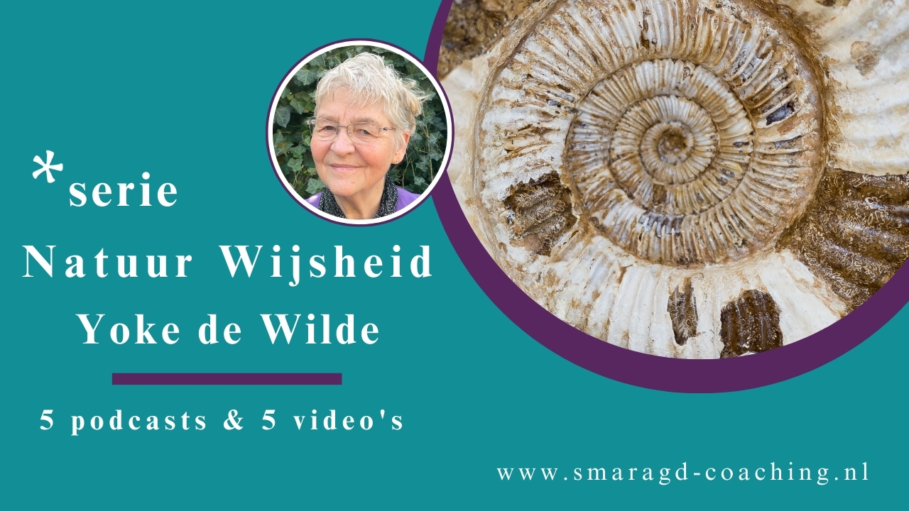 Aboriginals (4/5), Serie Natuur Wijsheid, video en podcast