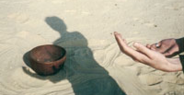 Blog 44: Dromen kunnen uitkomen